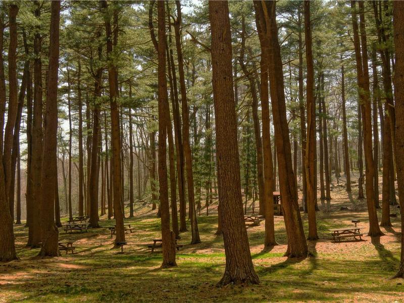 sudoku row column box screenshot 4